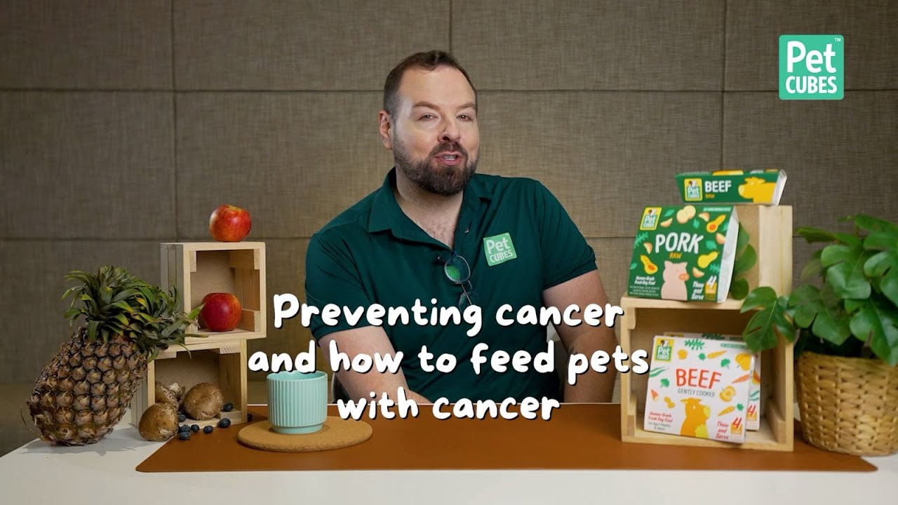 Preventing & Managing Cancer in Pets | Best Diets for Pets with Cancer | Pet Health Tips