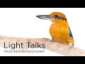 view Light Talks: Micronesian Kingfisher digital asset number 1
