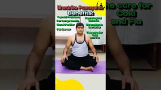 Discover the Incredible Benefits of Bhastrika Pranayama | YogaBenefits Pranayama breathing