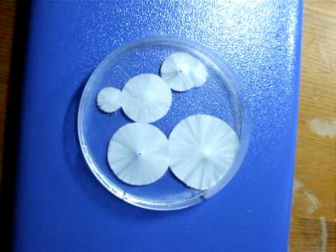 Voronoi diagram in hot ice