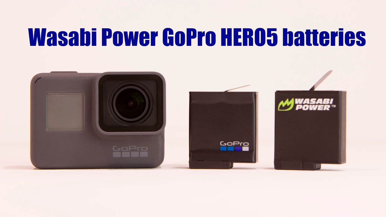 WASABI 1-PC 2500mAh GoPro Extended Battery for HERO+ LCD