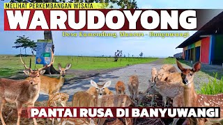 Pantai Rusa di Banyuwangi !!! Melihat Keindahan Pantai Warudoyong Banyuwangi Terbaru, Rusanya Lucu..