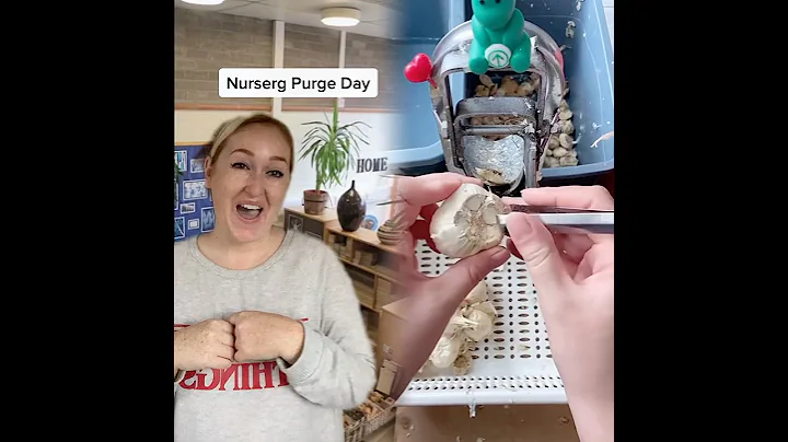 #nurserynurse #nurserylife #nursery #daycare #childcare #earlyyears #parents #teachers