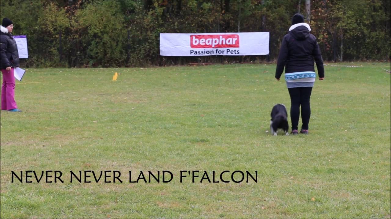 NNL F'FALCON - Qualification WC 2017