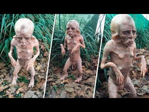 5 შემზარავი რამ, რასაც ცხოვრებაში პირველად ნახავთ!