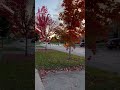 I 🤎 FALL
