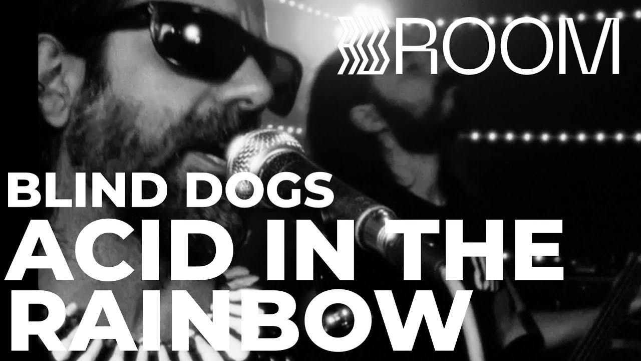 BLIND DOGS - Acid in the Rainbow | Sesión en vivo | Acid Waffle ROOM