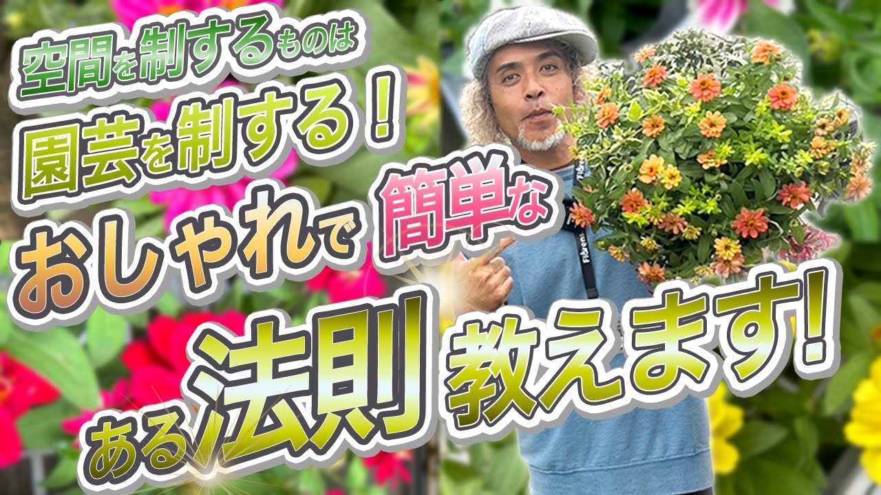 園芸好き必見⭐秋のハンギングは『ジニア』から！空間演出で差がつくガーデニングを楽しもう♫