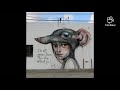 Graffiti &amp; Murals