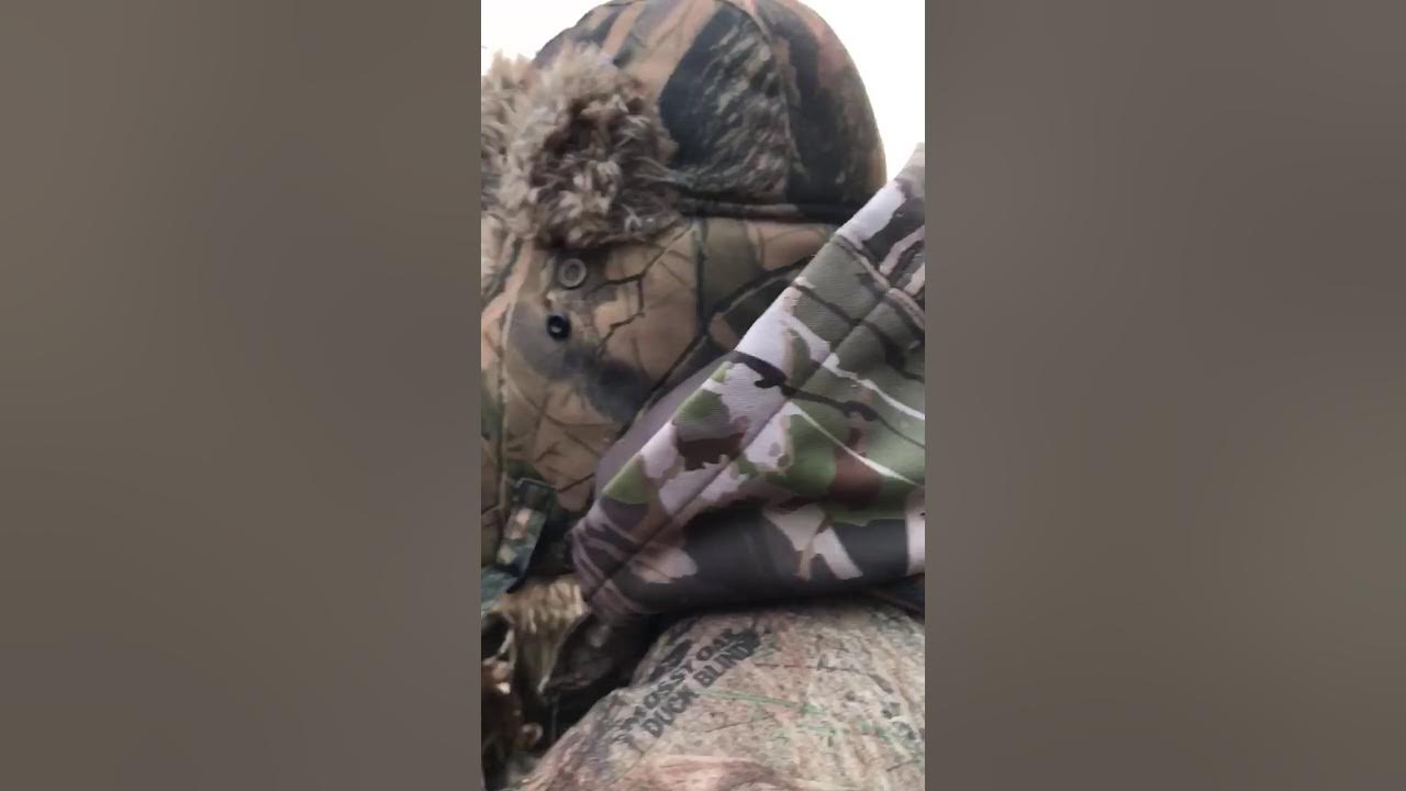 Pymatuning goose hunt YouTube