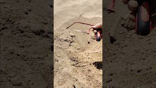 SHOCKING BEACH DISCOVERY! Found a RUSTY SAW Buried in the Sand! (Metal Detecting Gone Wild!)