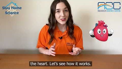 How to make a model heart