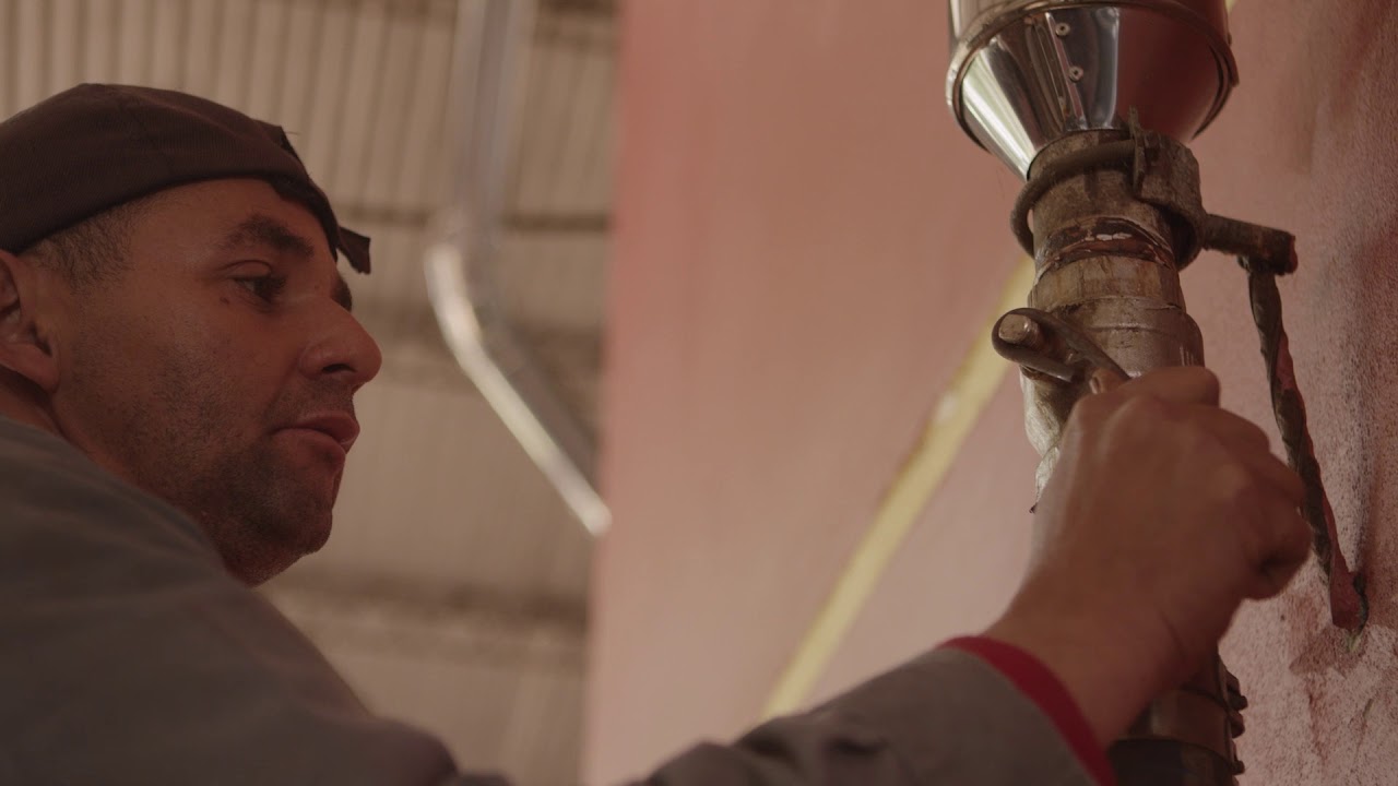 ALPACASA   ACEITE 3 22MIN   INGLES