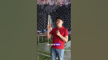 Cơ Hội Vàng: Vừa Học Vừa Làm Tại Delavu Event, Phát Triển Sự Nghiệp Sự Kiện! | DELAVU EVENT