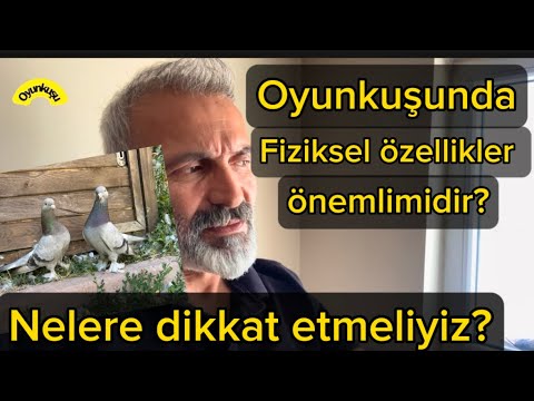 Güvercinlerde Fizik önemli midir? #taklacıgüvercin