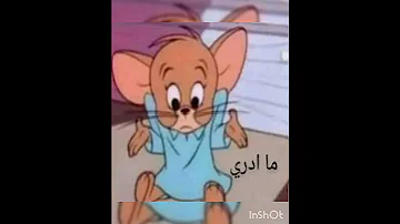 ملصقات للواتساب ممكن تعجبك 