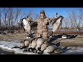 Late Season Goose Hunt (HUNTING THE ROOST!)