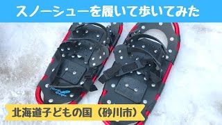 北海道子どもの国で初心者がスノーシューをレンタルしてみた結果