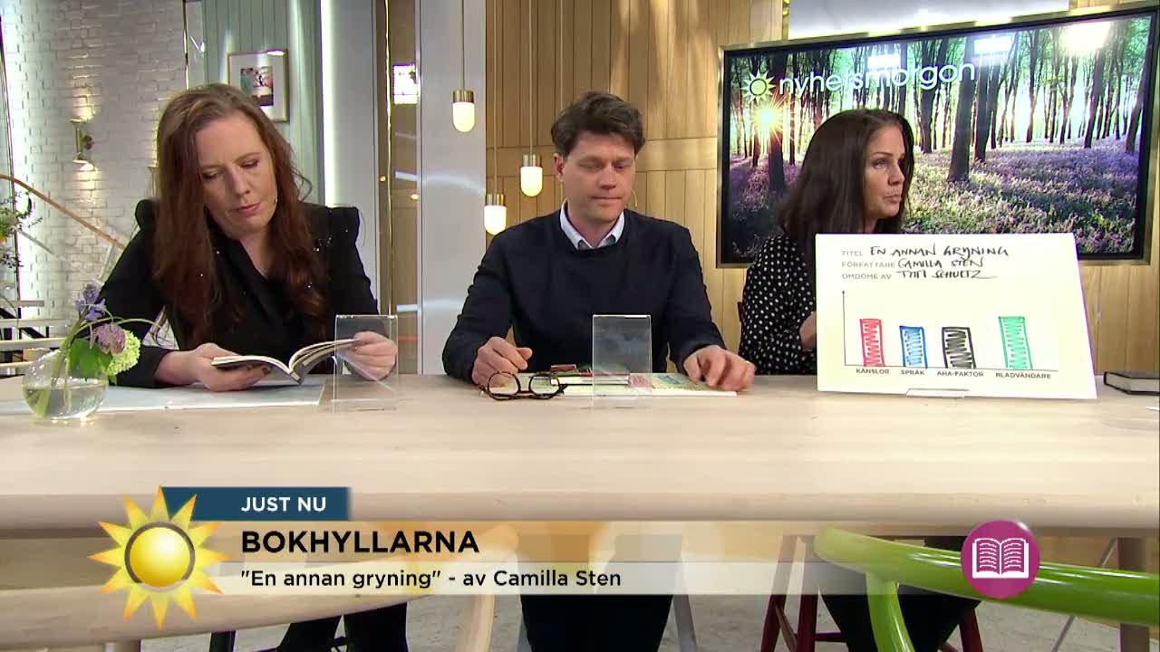Bokhyllarna ger veckans boktips - Nyhetsmorgon (TV4)