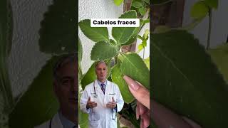 Seu Cabelo Não Cresce? Isso Aqui Vai Salvar Seu Couro Cabeludo