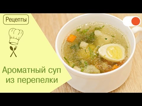 Суп Из Перепелов Рецепт Приготовления С Фото