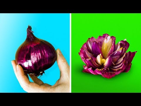 فيديو: أفضل 15 فكرة إبداعية لتصميم الطعام