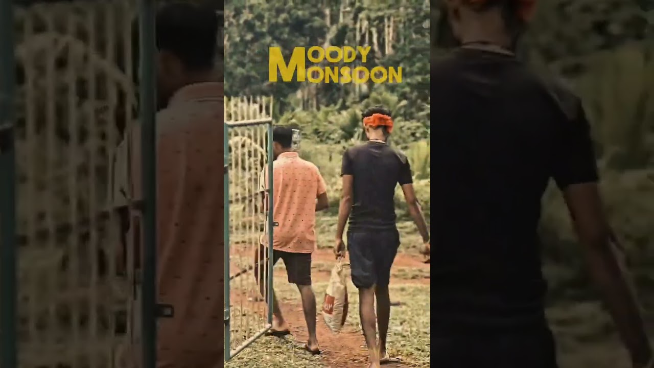 ಮಳೆಗಾಲದ ನಡಿಗೆಯಲ್ಲಿ ⛱️🌴🪾||BY SPIDERCAM STUDIOS || 