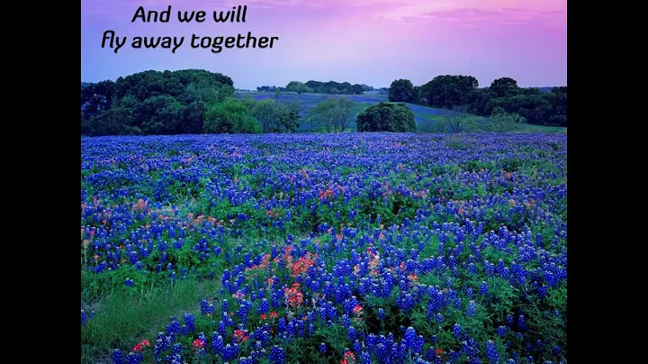 Nanci Griffith - Gulf Coast Highway