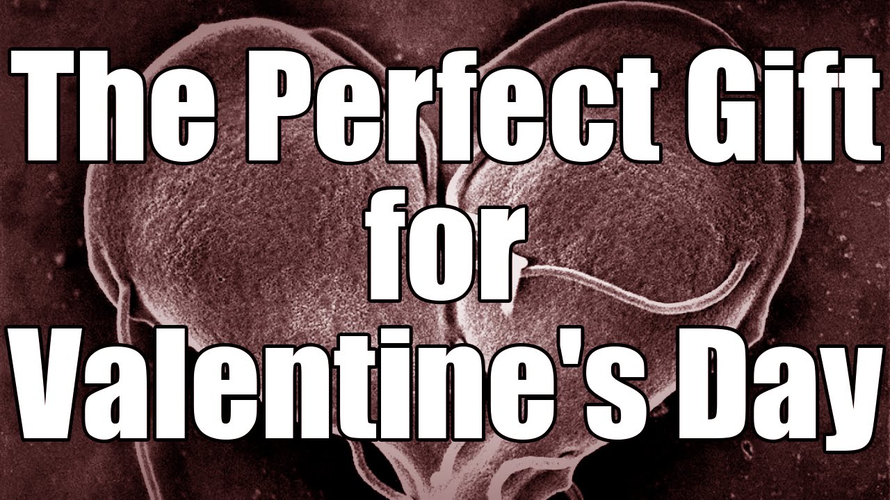 The Perfect Gift for Valentine's Day ~ Nosleep ~ By EZMisery ~ Sir Ayme