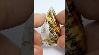Dendrite - Dendrita • 50 ct • 46x23mm