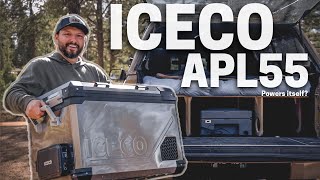 BEST VALUE Camping Fridge || ICECO APL55