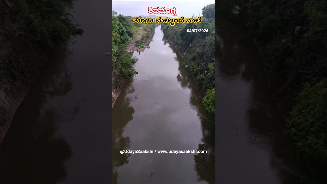 ಶಿವಮೊಗ್ಗ : ತುಂಗಾ ಮೇಲ್ದಂಡೆ ನಾಲೆಯಲ್ಲಿನ ನೀರಿನ ಹರಿವು. (04/07/2026) #shimoga #shivamogga #rain #monsoon