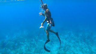 Spearfishing A Reef For Food On A Small Island {Catch Clean Cook}