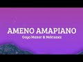 Goya Menor Nektunez Ameno Amapiano REMIX Lyrics 