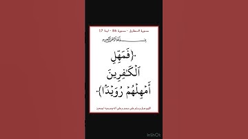 سورة الطارق - سورة 86 - اية 17