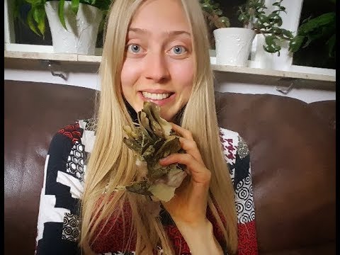 Video: Hur Man äter Klimpar