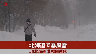 北海道で暴風雪   JR北海道、札幌圏運休