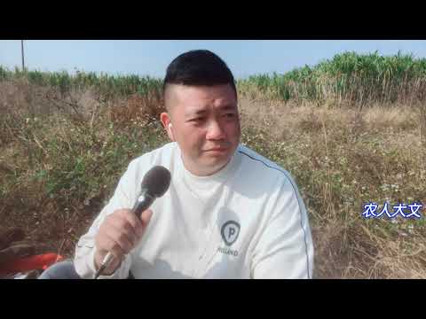大文深情演唱一首，刀郎当年很火的经典歌曲，2002年的第一场雪