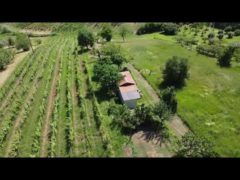 DIVERTIMENTO PER TUTTI - TERRENO CON CASETTA A SAN COLOMBANO AL LAMBRO