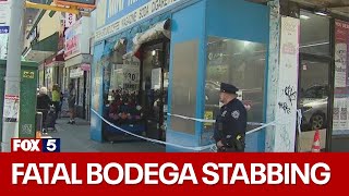 Man killed after being stabbed inside Queens bodega