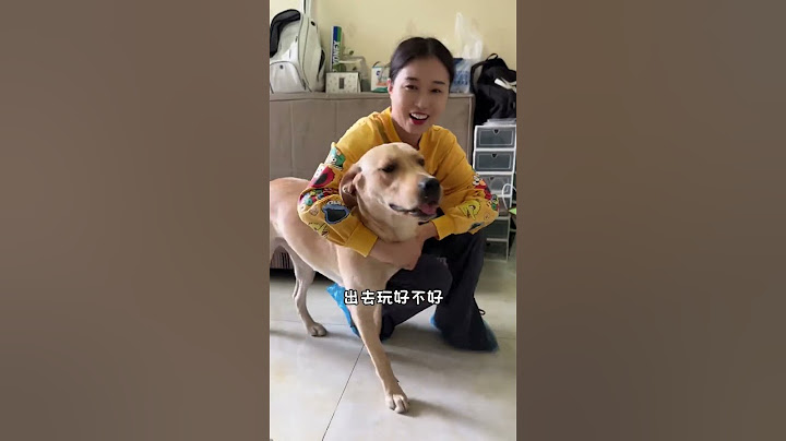 主人给宠物绝育会被记仇吗？我们上门喂养又开拓新业务了...最后成功仇恨转移，让狗子恨死了  
