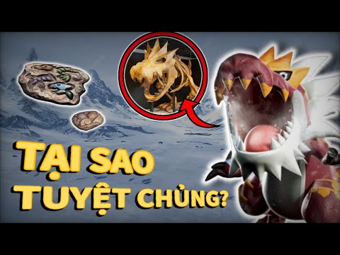 Video: Tại sao các hóa thạch được bảo quản lại độc đáo như vậy?