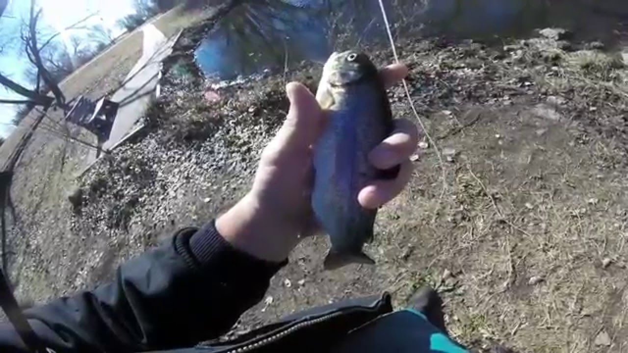 fly fishing sedgwick county park wichita k YouTube