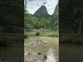 You Think These Are Ducks… But This Is Real Life in Dundj Valley 🇻🇳