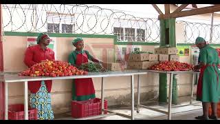  Ugandan horticulture firms explore Italian market 