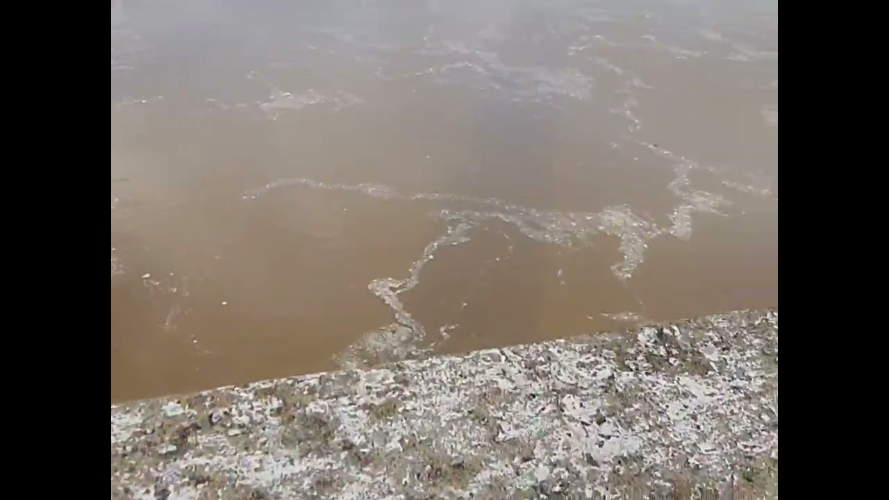 lemon 🍋 sodha re hand wash haba hela 🤣🤣🤭                              