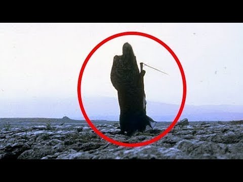 5 ვიდეო სადაც ცელიანი სიკვდილია დაფიქსირებული