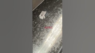 Behind the Scenes: How Mesh Barriers Are Made | Temporary Edge Protection Systems