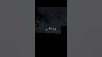 سورة آل عمران - الآيات 29-30 - تلاوة ماهر المعيقلي