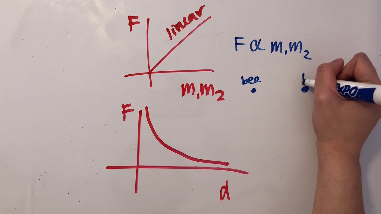 What is Newton's Law of Gravitation?